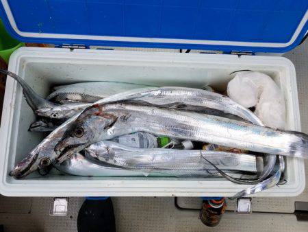 遊漁船　ニライカナイ 釣果