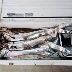 遊漁船 ニライカナイ 釣果