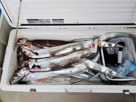 遊漁船 ニライカナイ 釣果