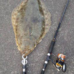 ヒラメ74センチ！