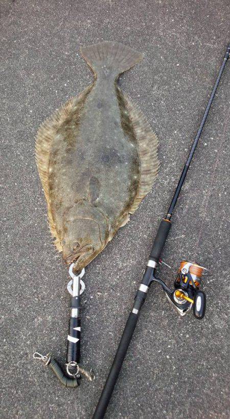 ヒラメ74センチ！