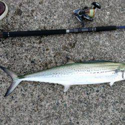 今年初めての釣り