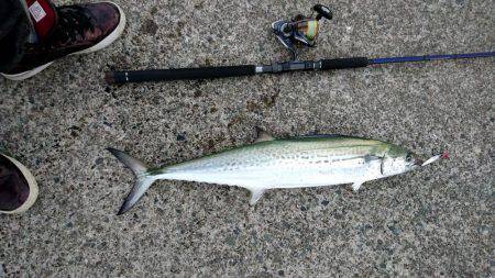 今年初めての釣り