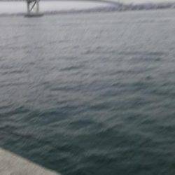 ショアジギング