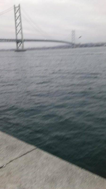 ショアジギング