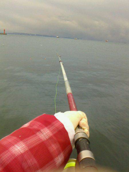 真冬にウキがスポッと沈むのをみたくて～