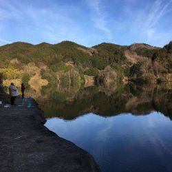 今年は型がいい布目湖のワカサギ