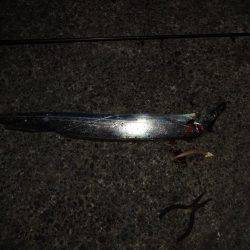 夕方も西宮行って来ました。