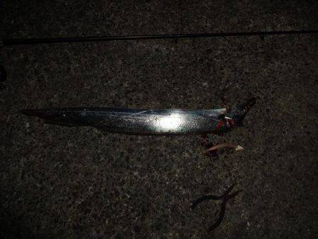 夕方も西宮行って来ました。