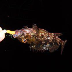 痛恨のミス(T_T)