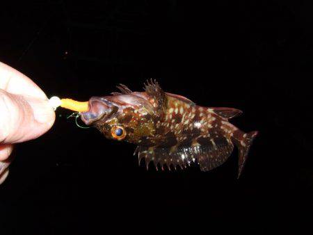 痛恨のミス(T_T)