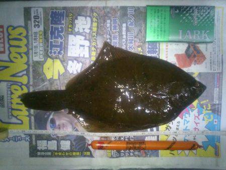 チャレンジ！筏カレイ！！