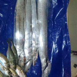 ワインドまだまだっ