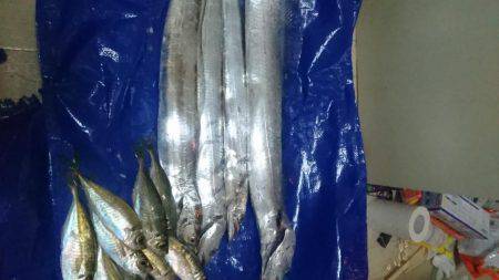 ワインドまだまだっ