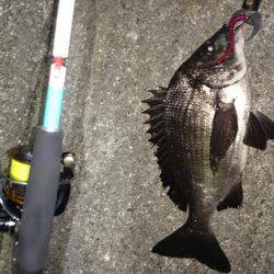 ガシリング2017年1月23日