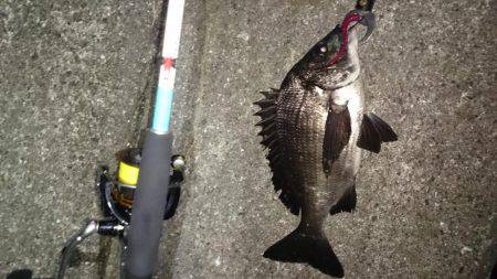 ガシリング2017年1月23日