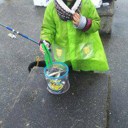 楽しかったです