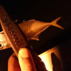 初釣りアジング