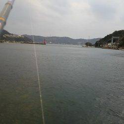 久しぶりの下津周辺釣行