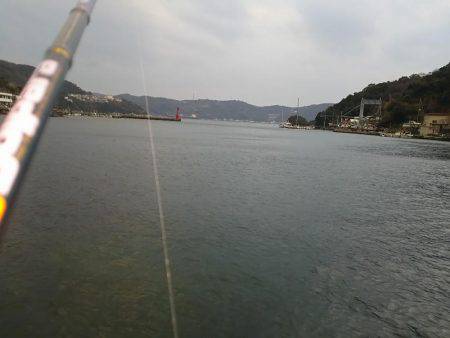 久しぶりの下津周辺釣行