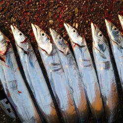 まだまだ行けます