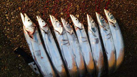 まだまだ行けます