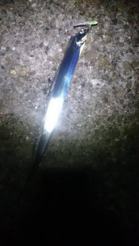 かなり減りました2