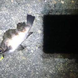 そろそろ終わりかな？