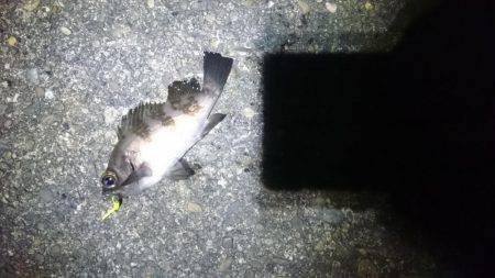 そろそろ終わりかな？