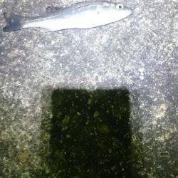 渋かったです。