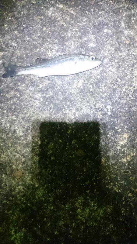 渋かったです。