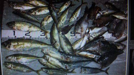 た～～いりょう