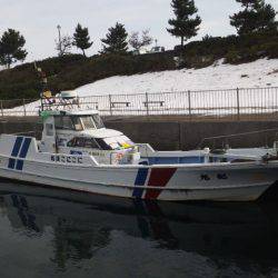 雨の中期待を裏切らない尺アジ