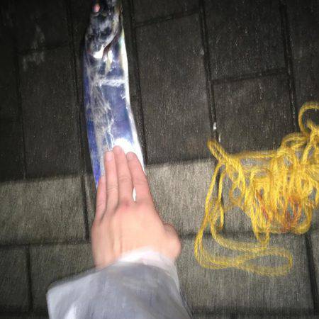 なかなかいい釣果