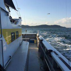 苦戦のタチウオテンヤ