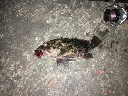 爆風でもナイトチヌゲーム