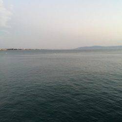 初釣りで、初めてのヒラメget!