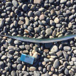 連敗ストッパー