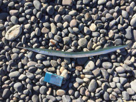 連敗ストッパー