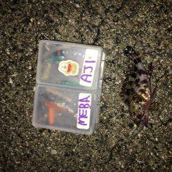 寒さに負けません