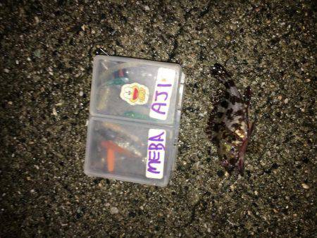 寒さに負けません