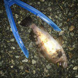 とにかく寒いよー