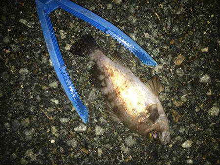 とにかく寒いよー