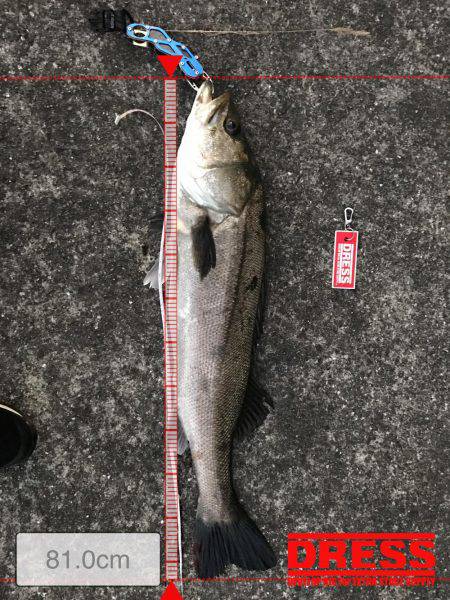 粉雪の中で頑張った甲斐がありました✨