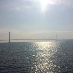 初釣り、初バックラ…（投げ練8日目）