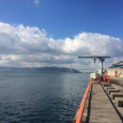 寒波で水温も急降下かな