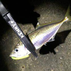 釣り初め、1投目からイキナリ…