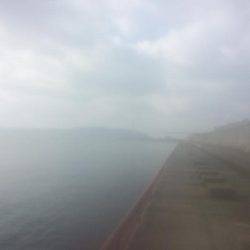 マダイはもう無理?