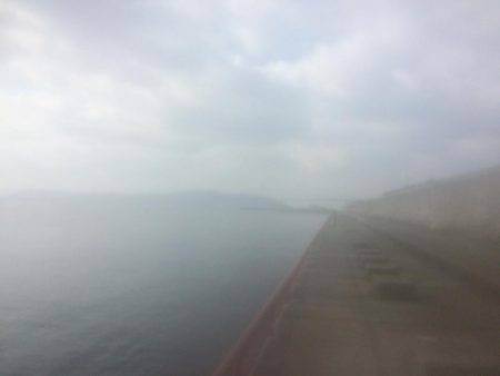 マダイはもう無理?