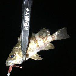 確実に鈍っている！